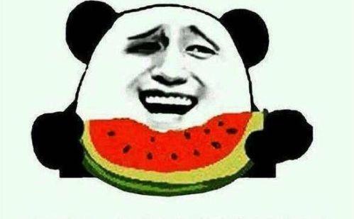 一个娱乐圈吃瓜群众